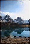 Une nouvelle en plus-img_4192.jpg