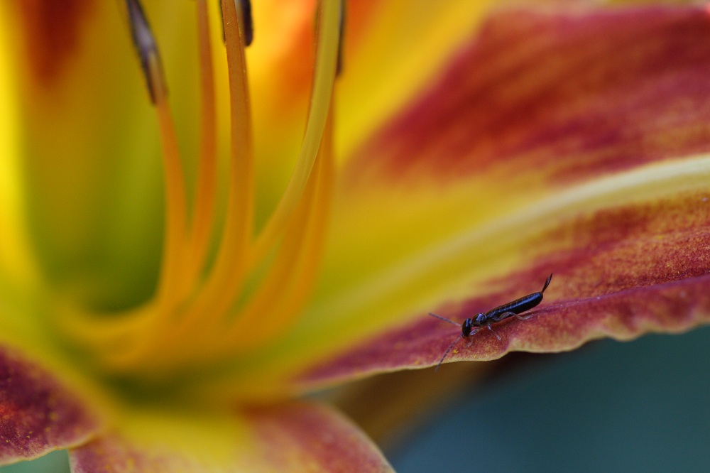 1/125 640iso f 5