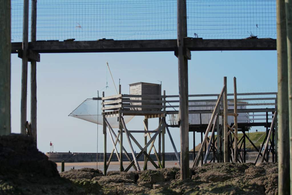Carrelets
