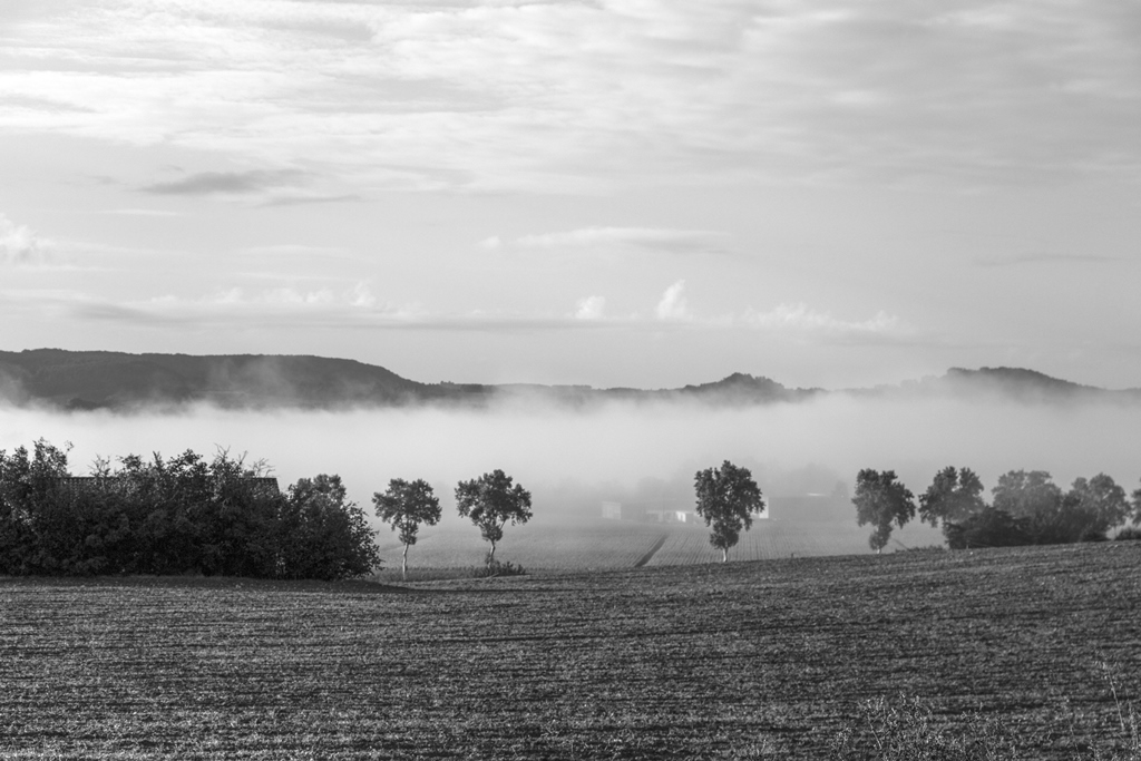 BROUILLARD MATINAL SUR LE LOT 2