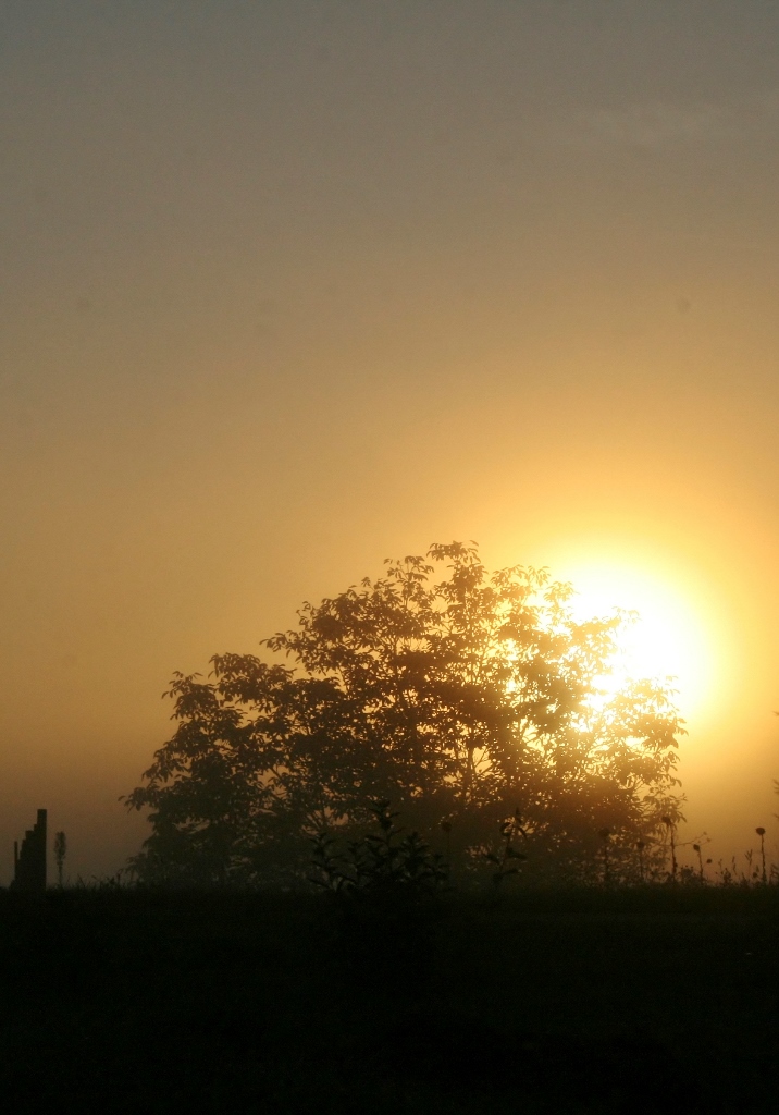 LEVER DE SOLEIL DANS LE BROUILLARD 2
