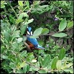 IMG 1948 005