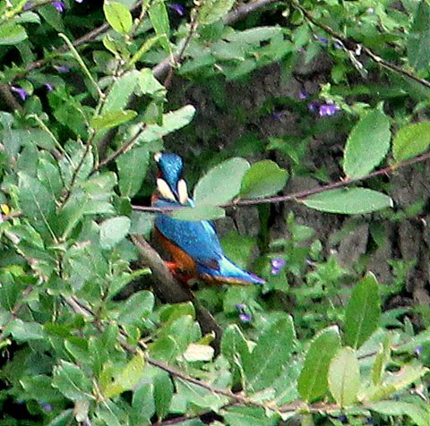 IMG 1948 005