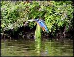 IMG 2085 005