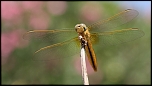 IMG 7769 1
