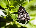 -bernard-amar25_03_20163825100eos-1d-mark-iii-003.jpg