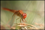 IMG 7601 1