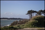 IMG 6954