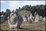 IMG 6991