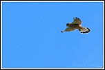 Rencontre le 14 Juillet ...-24092015-crecer1_1.jpg