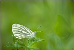 -img_8314-1.jpg