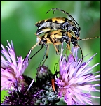 photos de nuite et beaux ciel...-6213.jpg