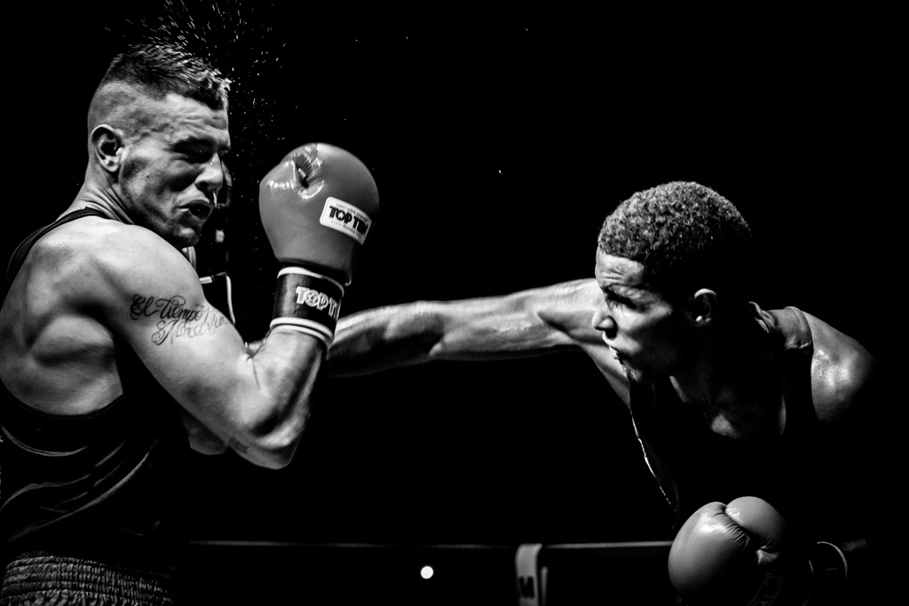 300d jaune-boxe-finale-criterum-nat-6.jpg