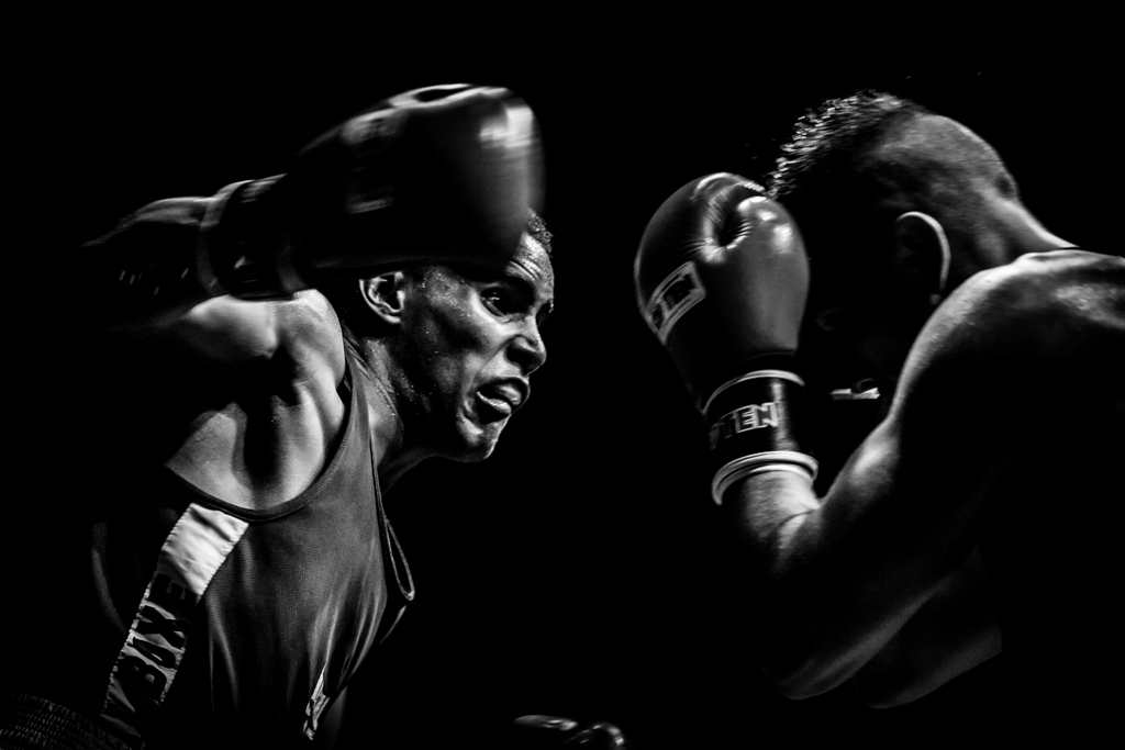300d jaune-boxe-finale-criterum-nat-fr-jus-7.jpg