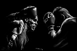 300d jaune-boxe-finale-criterum-nat-fr-jus-7.jpg