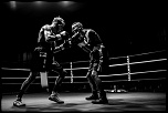 300d jaune-boxe-finale-criterum-nat-fr-jus-10.jpg