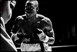 300d jaune-boxe-finale-criterum-nat-fr-jus-13.jpg
