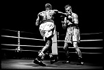 300d jaune-boxe-finale-criterum-nat-fr-jus-14.jpg