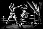 300d jaune-boxe-finale-criterum-nat-fr-jus-15.jpg