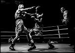 300d jaune-boxe-finale-criterum-nat-fr-jus-16.jpg