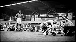 300d jaune-gala-boxe-3-le-cannet-53.jpg