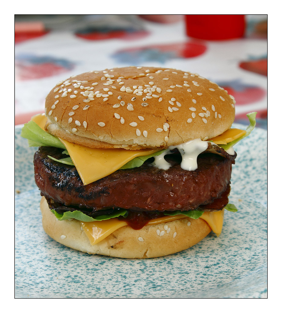 Humberger 1024