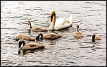 -_v7a2282-tif.jpg