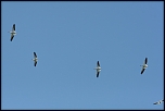 IMG 8082 1