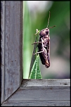 photos de nuite et beaux ciel...-6258.jpg