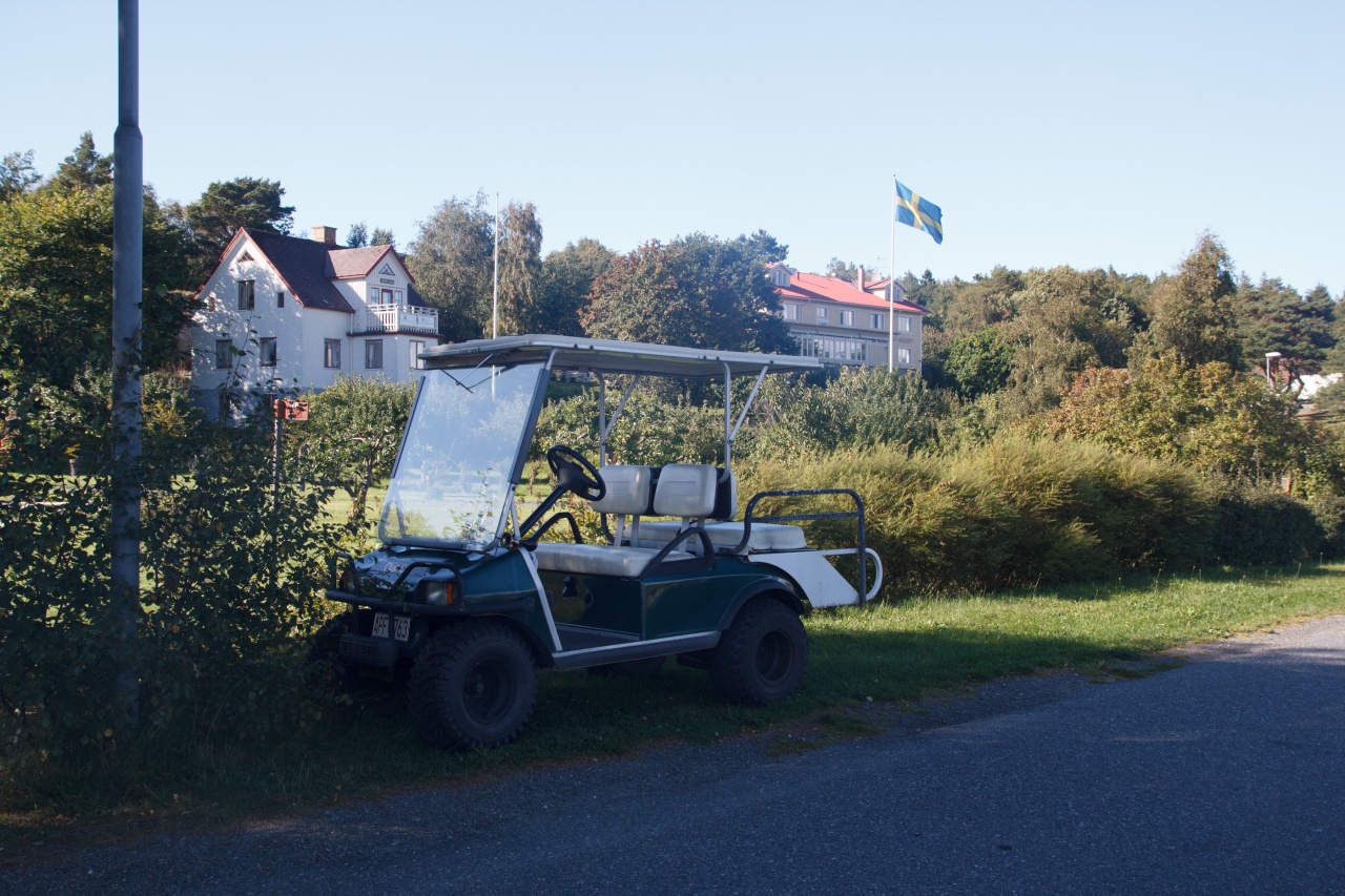 -img_9261.jpg