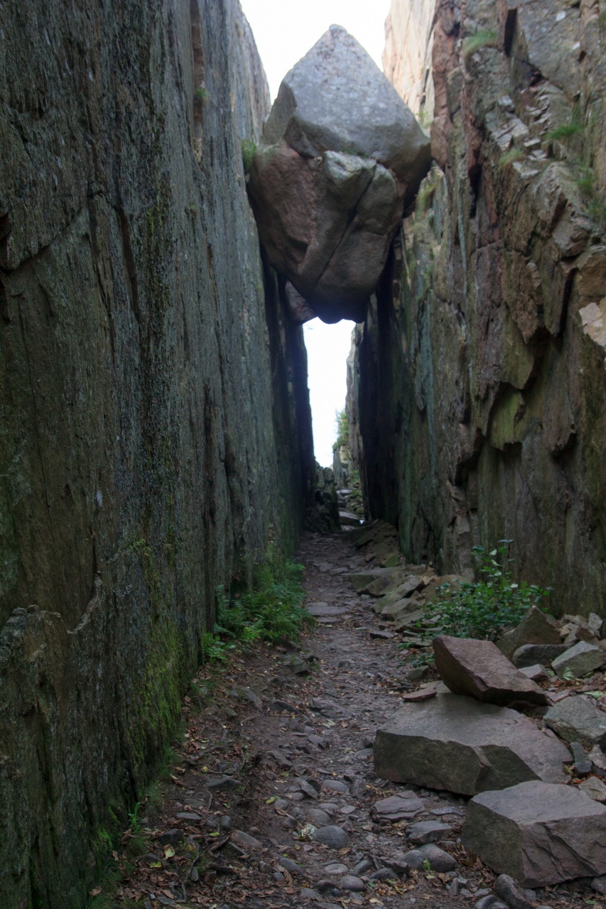 -img_9095.jpg
