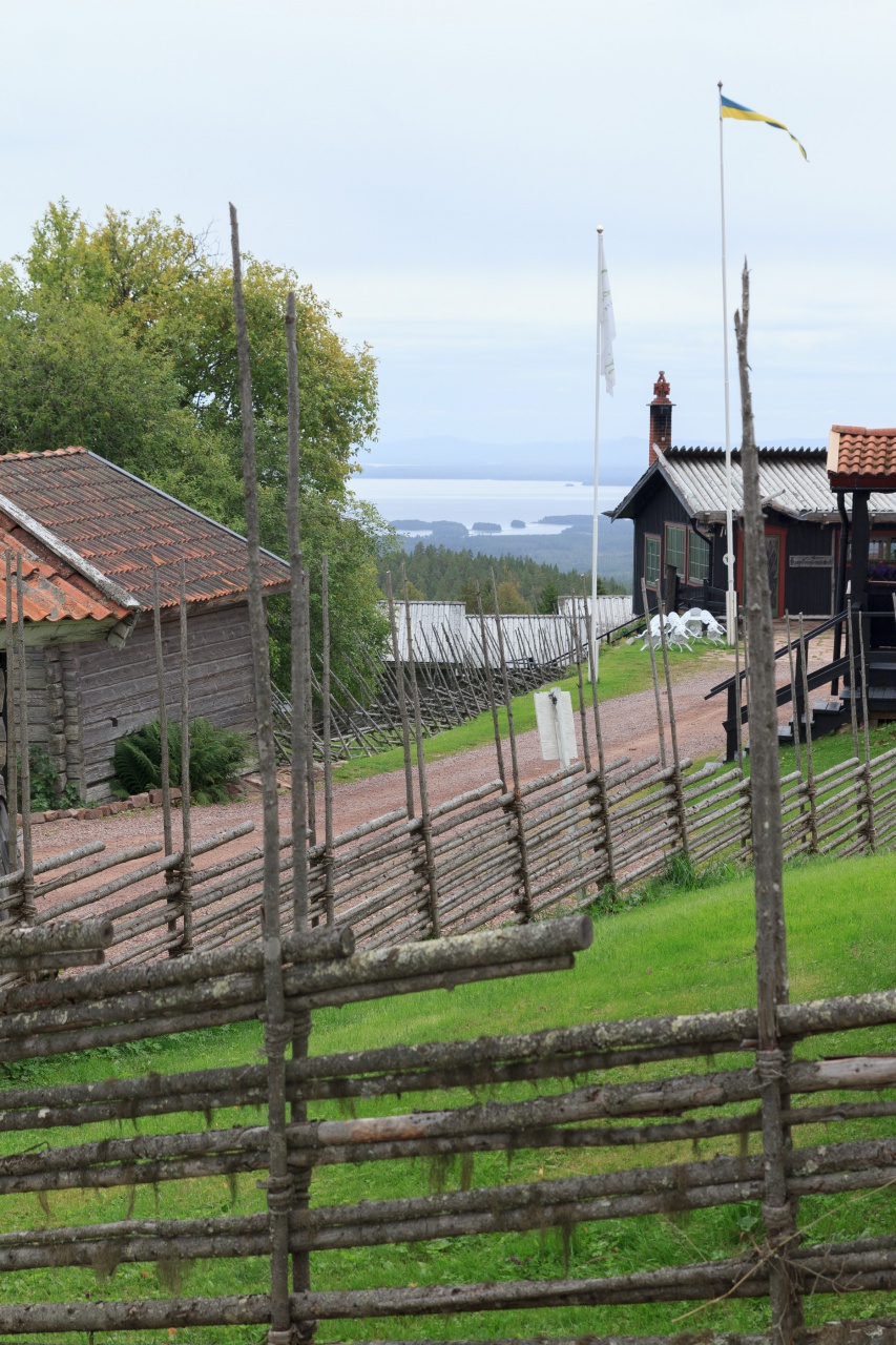 -img_8958.jpg
