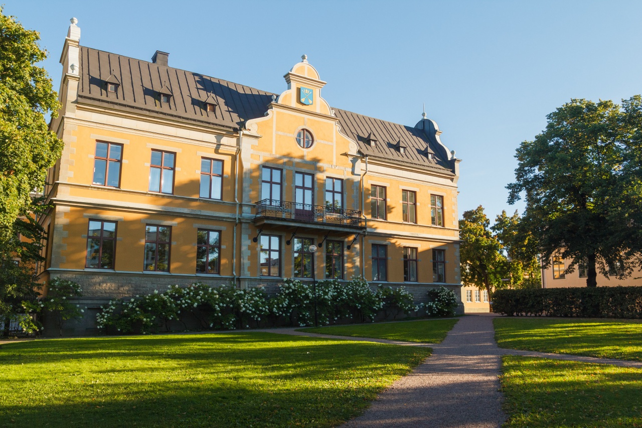 -img_8908.jpg