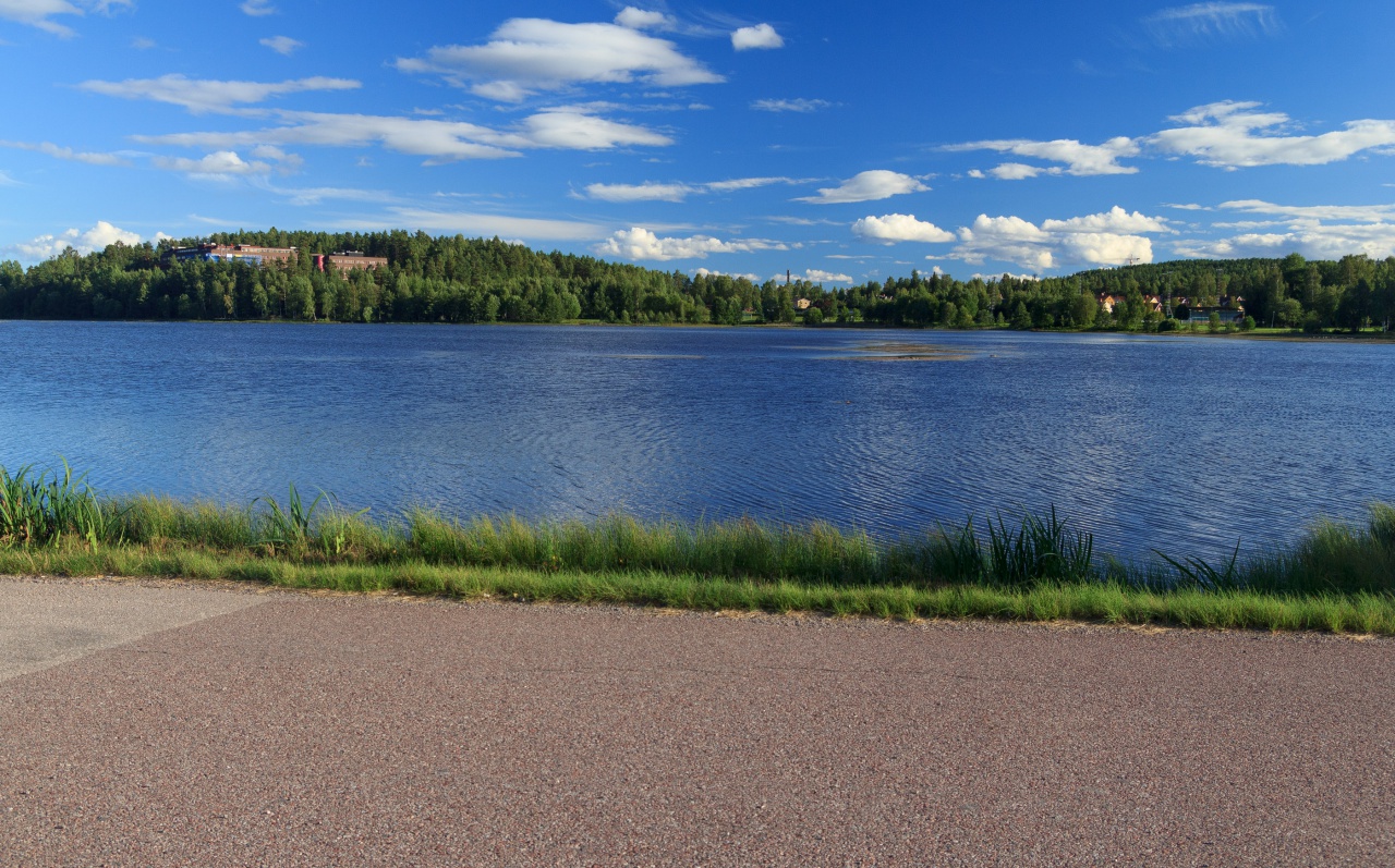-img_8901.jpg