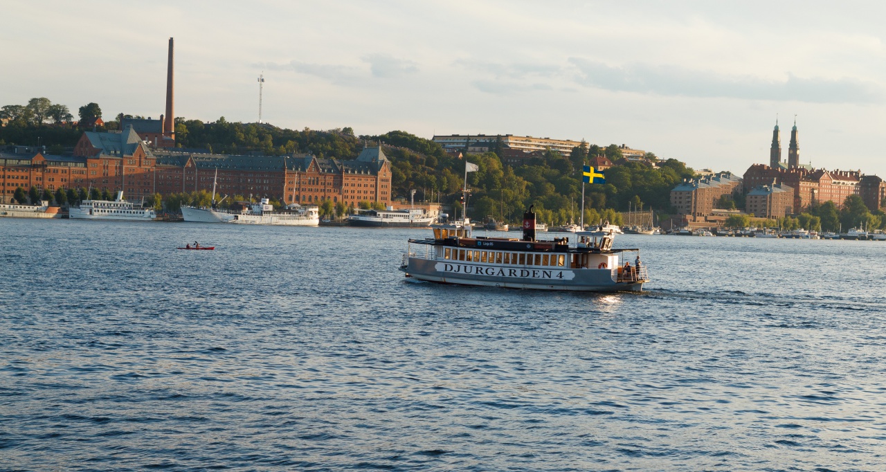 -img_8781.jpg