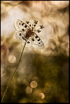 -0o7a5692-m0-rec-concours-1024.jpg