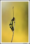 -img_0862-sign1024.jpg