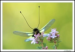 -img_0923-sign1024.jpg