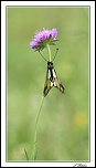 -img_4472-sign1024.jpg