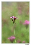 -img_4629-flou-sign1024.jpg