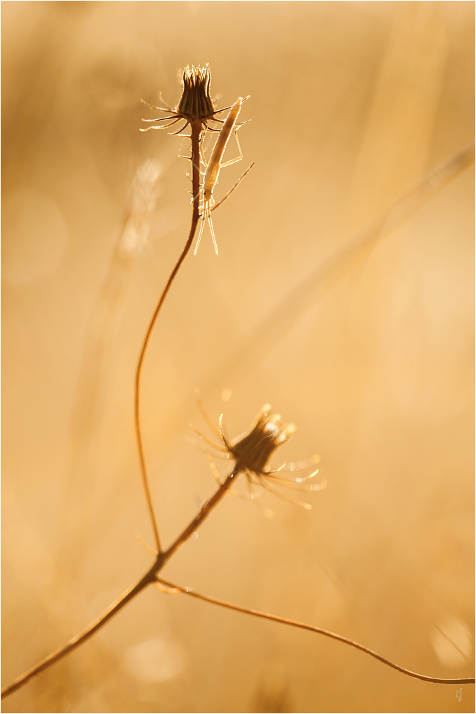 -img_9144-1.jpg