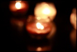 BigB dans le sud ;) ...-bokeh_img_5368.jpg