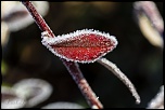 Akkuinternational-baiser-givre.jpg