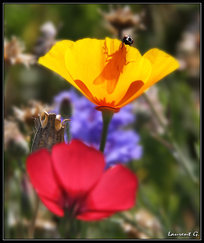 MAJ du Firmware-6344.jpg