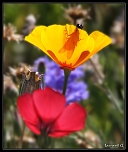 MAJ du Firmware-6344.jpg