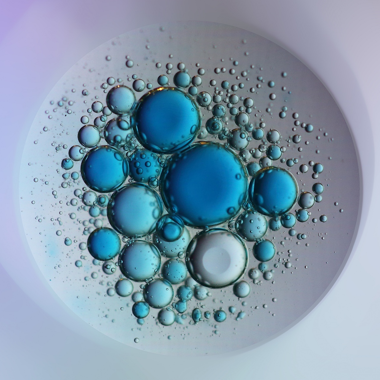GD0A5471 copie bleuess copie 2 jpeg