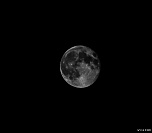70-300 Sigma APO-defi-52-theme-semaine-n-11-noir-et-blanc-3672.jpg