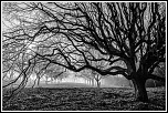 -img_7427-modifier.jpg