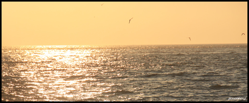 70-300 Sigma APO-6376.jpg