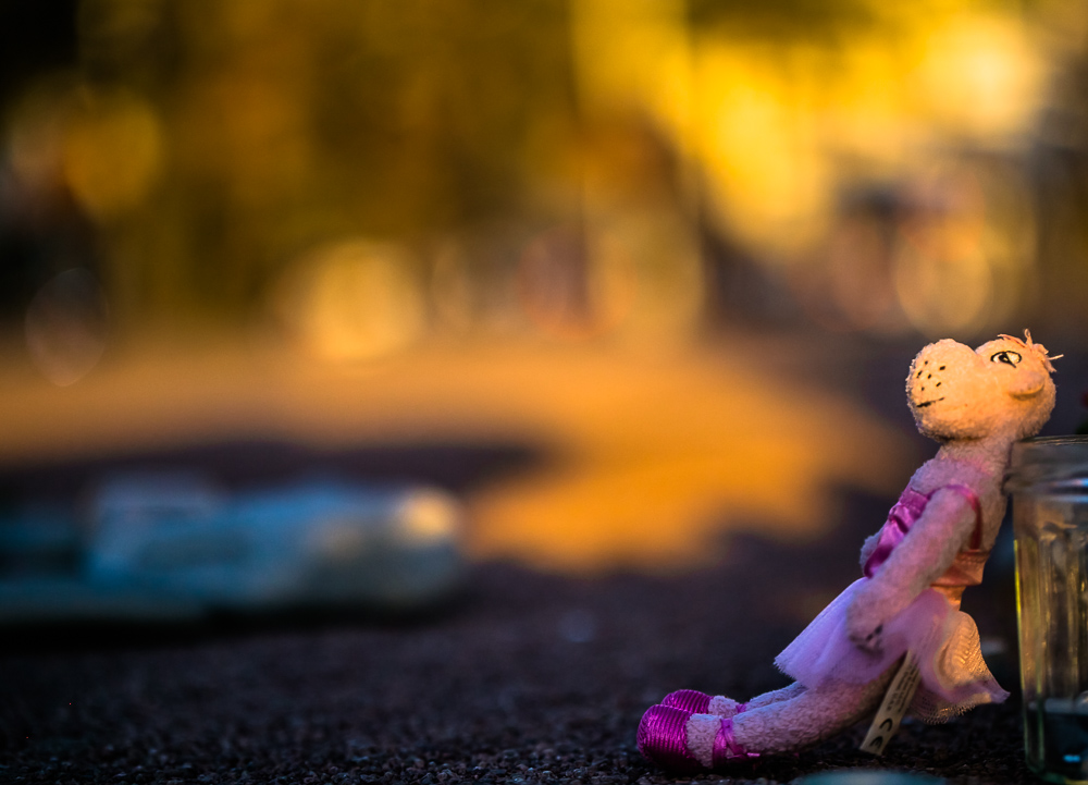 -eos1-bokeh.jpg